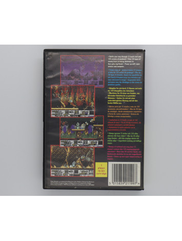 Risky Woods (Sega Mega Drive) Б/В